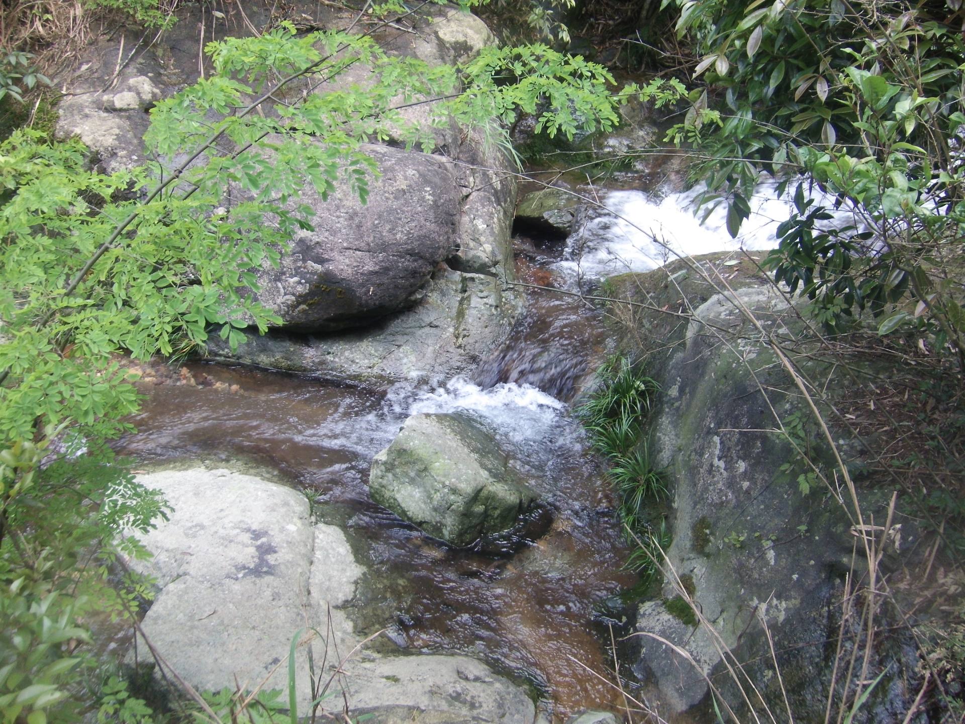 丰顺县洋西坑：清溪环流，茶园秀美