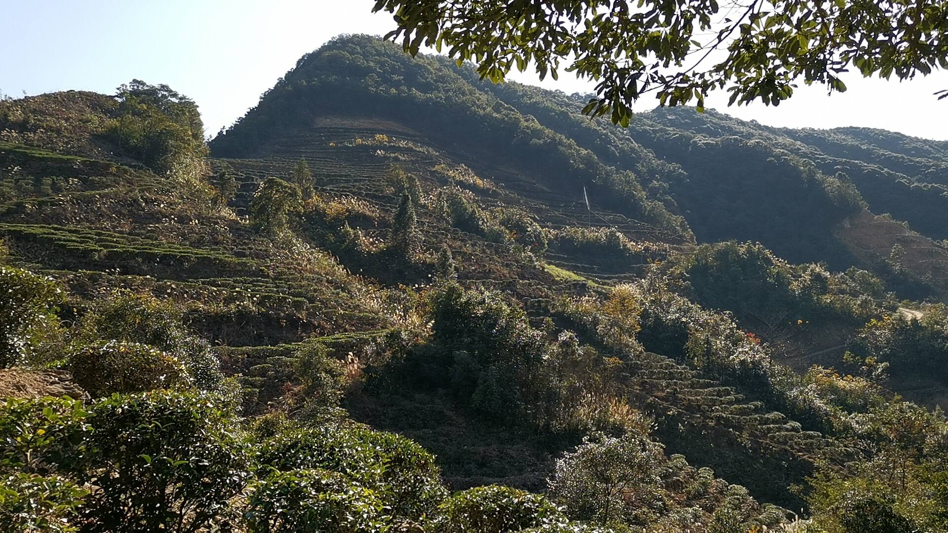 丰顺县洋西坑：群山耸峙，峰峦叠嶂