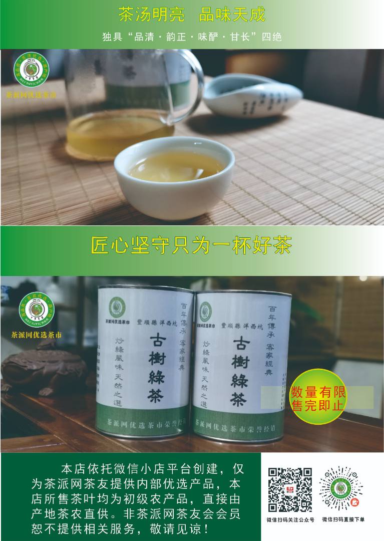 茶派丰顺茶友会优选洋西坑百年古树绿茶