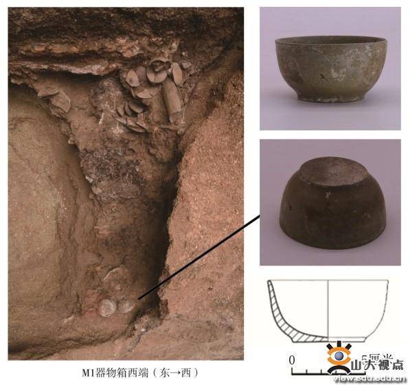 山东大学考古团队发现世界最早茶叶！茶文化历史提前了300多年..